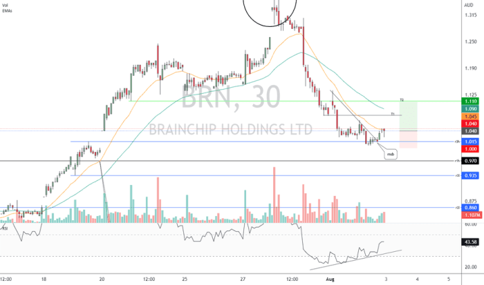 Bnrg stock price