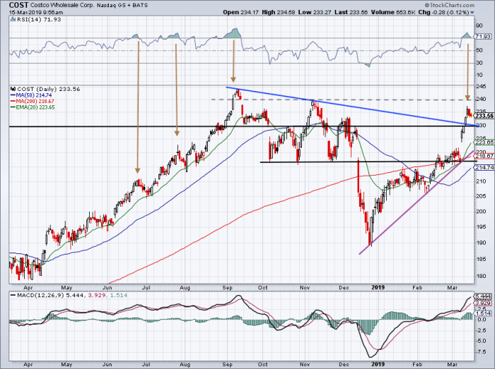 Costco stock price prediction 2025