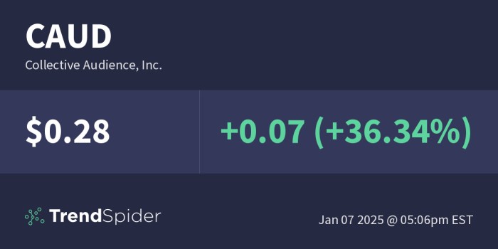 Caud stock price